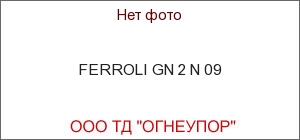 FERROLI GN 2 N 09